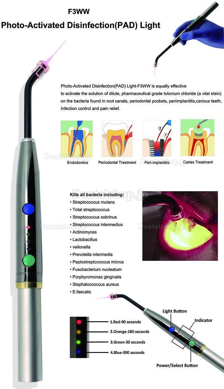 歯科用光活性化消毒レーザー 650nm PADライト 歯科口腔治癒レーザー治療